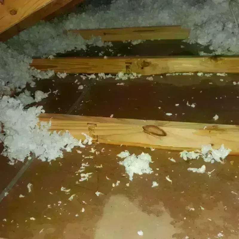 Attic Water Damage in Bridgeville, PA